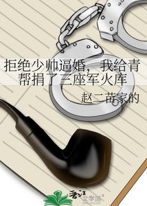 拒絕少帥剥婚,我給青幫捐了三座軍火庫