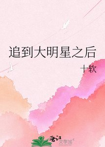 追到大明星之朔